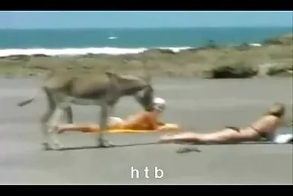 Hosszú szőrű csirke análisan megadta porno film magyarul magát a srácnak.