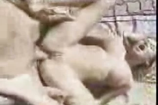 Bérelt szex videók magyarul egy lányt szex kedvéért.