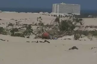 A hím ingyen pono filmek sikeresen bejutott a vörös hajú szuka végbélnyílásába.