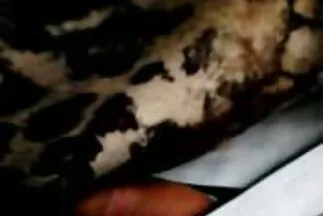 Egy vékony ingyen sex filmek kurva gyengéden simogatja egy barátja nagy farkát.